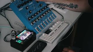 New Found  OP1 Field Lyra8 Zoia amp Fugue Machine Live Jam [upl. by Ajad524]