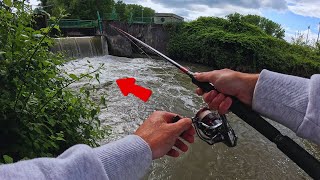 Du poissons dans cette CHUTE DEAU  Pêche du SANDRE et de la PERCHE en bordure de CANAL [upl. by Mian580]