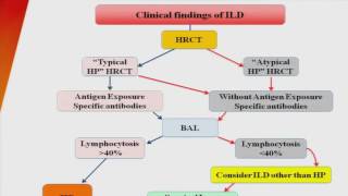 Diagnosis of Hypersensitivity Pneumonitis [upl. by Monie632]