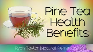 Pine Needle Tea Benefits and Recipe [upl. by Nnyllaf]