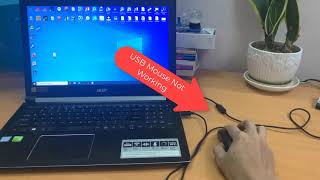 How To Fix USB Mouse Not Working on Windows 10 [upl. by Einnus]