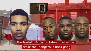 the brutal mrder of Raheem wilks that broke the dangerous flock gang crime gangster flockgang [upl. by Atinus]