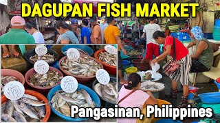 DAGUPAN Philippines  Morning SEAFOOD MARKET SCENE  Magsaysay Fish Port 2023 Prices  PANGASINAN [upl. by Vincenta]