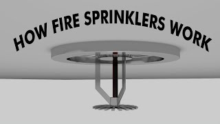 How fire sprinkler systems work 3D Animation [upl. by Aerdnaeel]