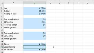 Percentages berekenen in Excel [upl. by Virgil]