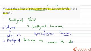 What is the effect of parathormone on calcium levels in the blood [upl. by Aicilla836]