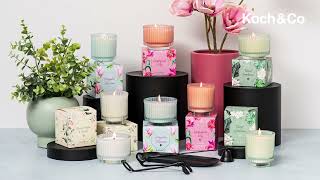 Check out our collection of Bloom II Scented Candles [upl. by Eittod]