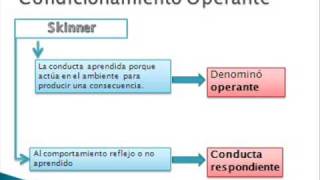 video 14 Psico experimental Condicionamieto operante 1 de 4 [upl. by Adnawat]