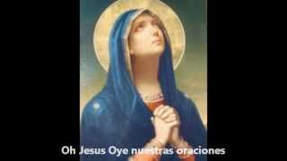 Rosario de nuestra señora de las lagrimas completo y con subtitulos [upl. by Sig]