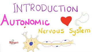 Autonomic Nervous System [upl. by Einahpetse]