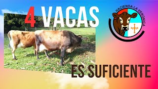 4 VACAS SON SUFICIENTES [upl. by Gillead]