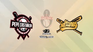 A P CASTAÑEDA vs SULTANES [upl. by Kenzie839]