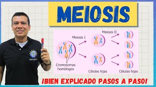 MEIOSIS EL CICLO CELULAR BIEN EXPLICADO [upl. by Odirfliw]