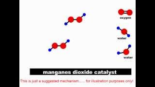 How catalysts work Heterolytic and Homolytic Catalysis [upl. by Coltun345]