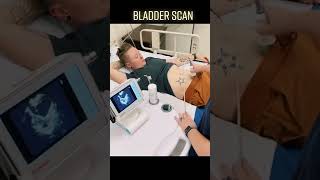 Bladder Scan Clinical Skills  LevelUpRN [upl. by Means]