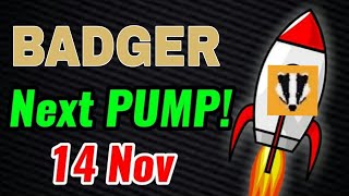 BADGER DAO Price Prediction BADGER Coin Today News [upl. by Hera]