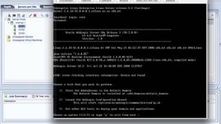 NEW Oracle VM 326 doing Live Migration [upl. by Asenaj]