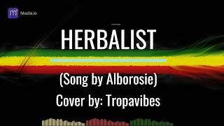 Herbalist Lyrics Alborosie Cover by Tropavibes Band [upl. by Salaidh]