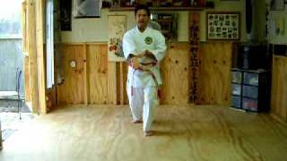 IKarate Class GojushihoAVI [upl. by Mcmullan345]