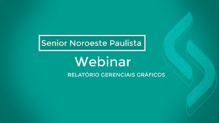 Webinar  Relatório Gerenciais Gráficos [upl. by Arries]