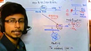 RNA editing mechanism [upl. by Eidda568]