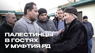 ПАЛЕСТИНЦЫ В ГОСТЯХ У МУФТИЯ ДАГЕСТАНА [upl. by Thompson]