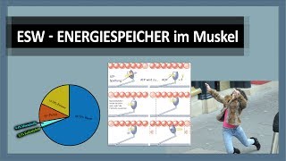 Energiestoffwechsel 14 Energiespeicher der Energiegewinnung  ATP KrP Kohlenhydrate Fette Eiweiß [upl. by Vanhook380]