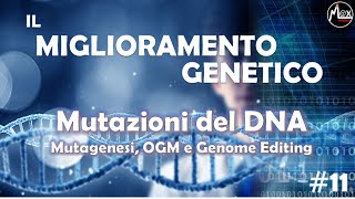 Mutazioni del DNA  Il Miglioramento Genetico 11 [upl. by Gensler]