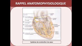 BIOPHYSIQUE ECG [upl. by Queston]