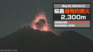 2024年5月20日 0121 桜島 爆発的噴火 2300ｍ  Sakurajima Explosive Eruption [upl. by Adur]