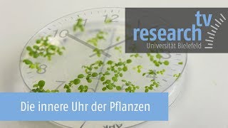 Die innere Uhr der Pflanzen – Protein unterstützt Biorhythmus – researchtv Universität Bielefeld [upl. by Akcirahs848]