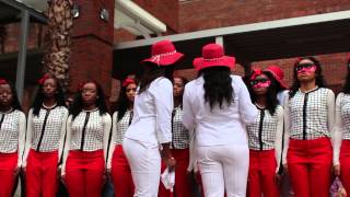 Lambda Psi Chapter of Delta Sigma Theta Sorority Inc Spring 2014 Probate [upl. by Marienthal]