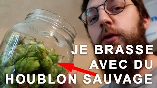 Je brasse une bière au houblon sauvage [upl. by Alverson]