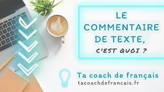 Le commentaire de texte en moins de 5 minutes  💡💪🏻 [upl. by Leverett]