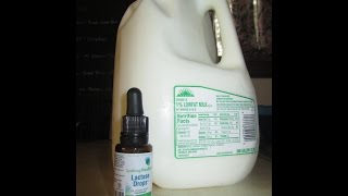 Save 40 on Lactose Free Milk by making it yourself [upl. by Box]