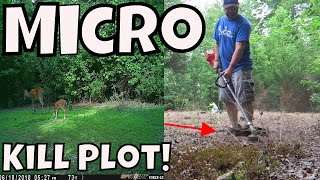 Learn How To Make A Food Plot With No Equipment [upl. by Aleekat]