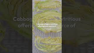 Exploring the Health Benefits of Cabbage Nutritional Benefits Health Advantages health cabbage [upl. by Traweek]