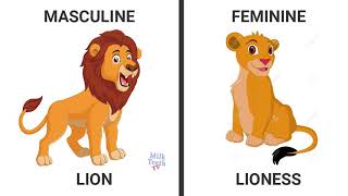 Learn Genders in English with picturesLearn masculine Feminine Gender [upl. by Ulane]