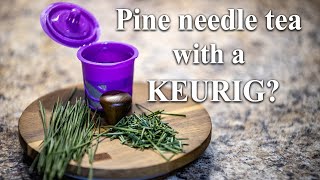 Boost Your Immune System with Healthy Pine Needle Tea  The Ultimate Camping Beverage [upl. by Abbi]