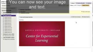 Video 4 Adding TextImage Section in TaskStream [upl. by Nyletak]