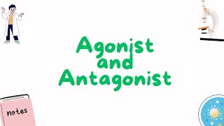 Agonists and Antagonist [upl. by Haggi]