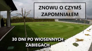 ZNOWU O CZYMŚ ZAPOMNIAŁEM trawnik po zimie koszenie trawnika nawożenie trawnika [upl. by Doner882]