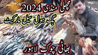 Wholesale Big Fish Market 2024  Bhaati Chowk Lahore [upl. by Stew]