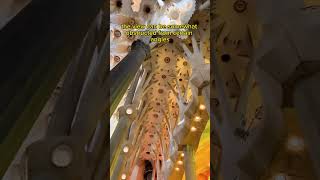 Is Visiting Sagrada Família Towers Worth It A Breathtaking View Inside Barcelonas Iconic Basilica [upl. by Aivek]