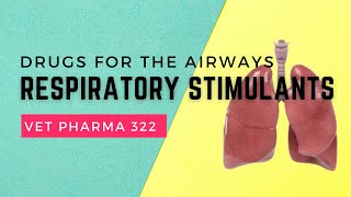 VET PHARMA 2  Drugs for Airway Disorders Respiratory Stimulants  Module 209 Student Output [upl. by Hyrup257]