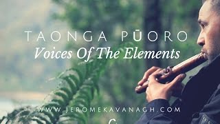 Taonga Pūoro  Voice Of The Elements [upl. by Yuri]