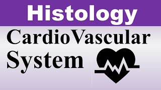 Chp12 Histology Inder Bir Singh  Histology of CardioVascular System  Histology Lectures [upl. by Seana]