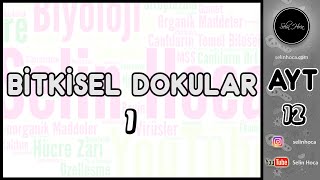 15 Bitkisel Dokular 1 [upl. by Chamkis11]