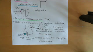 Pain and Analgesic Drugs Part 14 [upl. by Aicissej]