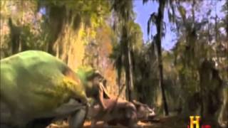 Carnivorous Dinosaurs Tribute [upl. by Hartnett]